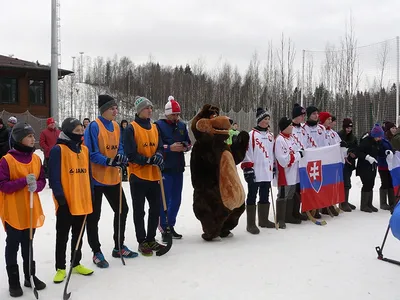 Лучшие работы Всероссийского конкурса детского рисунка, посвящённого зимним  видам спорта «Спорт на свете есть такой, популярен он зимой!» | Центр  гражданских и молодежных инициатив - Идея