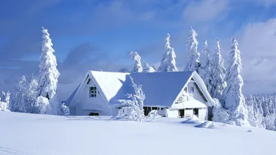 Скачать 2400x3598 дом, лес, снег, зима, уют обои, картинки