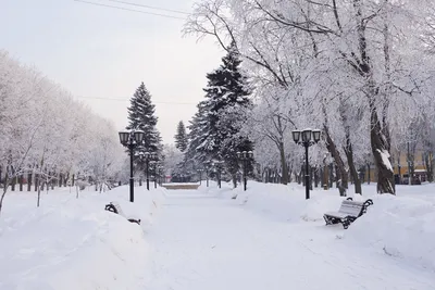 Зима в городе картинки