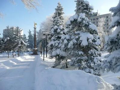 Стало известно, какая зима нас ждет — Городские вести