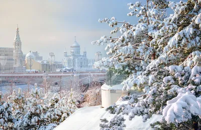 Красивые зимние картинки (часть 2) 🌨 | Волшебный мир иллюстраций | Дзен