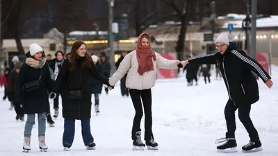 В соцсетях нашли кота, который обожает зиму — и это не выдумка - Питомцы  