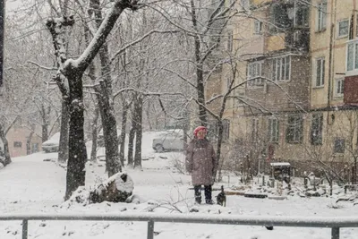 Синхронный приход зимы в Россию. Почему так радуются её приходу? | Девушка  из прошлого | Дзен