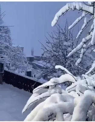 Зимний пейзаж. Один чудесный сквер зимой. | Фотограф Elki_Palki | Дзен