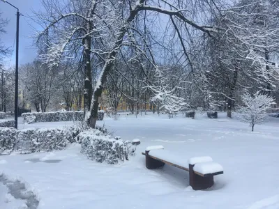 Зима вернулась в марте | Пейзажи, Фотографии задних планов, Снегопад