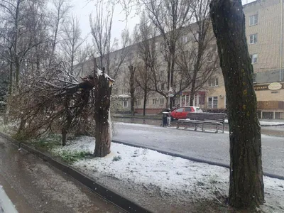 В конце марта в Петербург возвращается зима » 