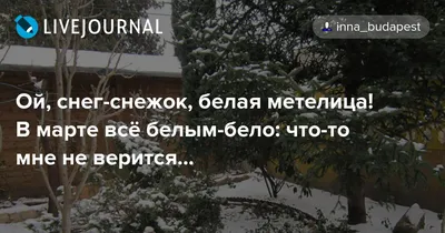 Зима возвращается? Снег в Беларуси будет идти в течение дня 28 марта