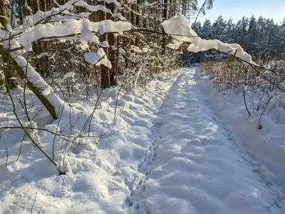 Красная Поляна в марте: отдых и погода в Красной Поляне (Россия)