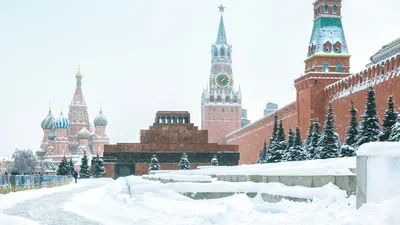 Климатолог заявила о грядущей «суровой зиме» в России — РБК