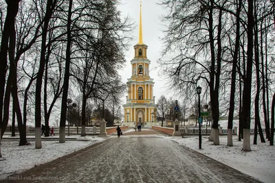 Зима вернулась - МедиаРязань