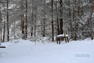 Снежная зима вернулась в Зельву (фоторепортаж) — ПРАЦА