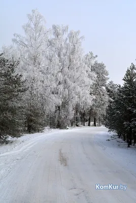 Зима вернулась. Зашибись начался отпуск. )))