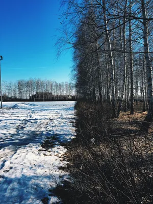 В каком символическом Времени Года находится сейчас Ваше Женственность:  Весна, Лето, Осень или Зима? | Психология МЖ | Дзен