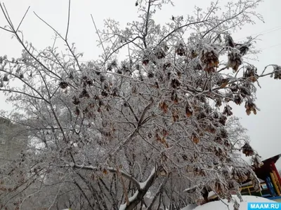 Смотреть фильм Весна, лето, осень, зима... и снова весна онлайн бесплатно в  хорошем качестве