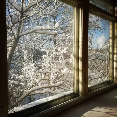 За окном уже зима❄️ милое фото, …» — создано в Шедевруме