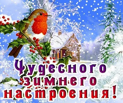 Доброе зимнее утро. Гармонии и счастья. в 2023 г | Зимние картинки,  Открытки, Доброе утро