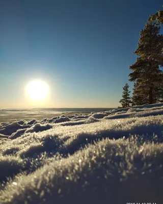 зимнее солнце. Photographer Aleksey Cherepanov