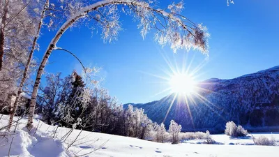 Зимнее солнцестояние картинки - фото и картинки: 70 штук