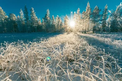Зимнее солнцестояние  года: почему считается опасным,  приметы и запреты в этот день - 