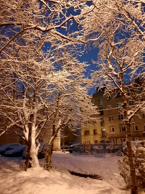 Зимнее утро | Дневник Жизни из города в деревню | Дзен