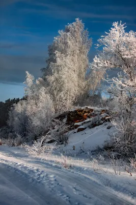 Красивые картинки Доброе зимнее утро! (213 фото) 🔥 Прикольные картинки и  юмор | Winter wallpaper hd, Iphone wallpaper winter, Winter nature