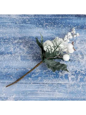 Зимнее волшебство и снежная красота | Beautiful day | Дзен