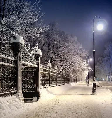 Зимний город... (Дневники Акель) / Проза.ру