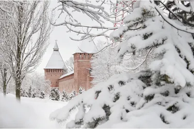В Смоленске выбрали лучшие фото зимнего города - Общество | Информагентство  "О чем говорит Смоленск" 
