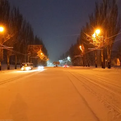 Обои на рабочий стол Ночные улицы зимнего города, освещенные ярким светом  электрических фонарей и окнами домов с гуляющими людьми, наряженными  новогодними елками, стоящими вдоль улицы, обои для рабочего стола, скачать  обои, обои