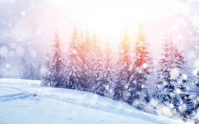 Зимней природы 55 картинок