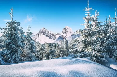 Зима,красота зимней природы,эстетика…» — создано в Шедевруме