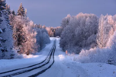 Зимняя дорога. Photographer Korostelev Yuriy