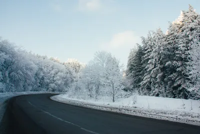 Фотообои Зимняя дорога на заказ любой размер, код:549 | ЭкоПринт