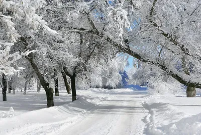 Радио ИСКАТЕЛЬ on Instagram: “Зимняя дорога в горы. Снимок из канадского  штата Альберт… | Туристическая фотография, Советы по фотосъемке пейзажа,  Живописные пейзажи