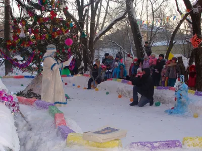 В Белгороде открыли детскую выставку новогодних букетов «Зимняя фантазия» —  