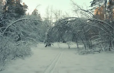 Зимняя фотосессия в Красной Поляне