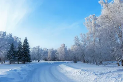 Зимняя фотосессия в Красной Поляне