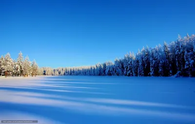 Зимняя поляна в лесу - 69 фото