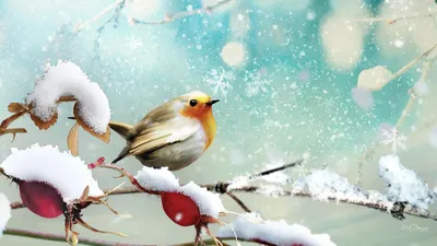 иллюстрация красивой зимней птицы снегирь PNG , веселый, сезонное,  праздничный день PNG картинки и пнг рисунок для бесплатной загрузки