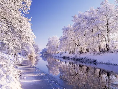 Красивая зимняя природа» — создано в Шедевруме