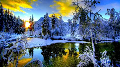 Красивые зимние пейзажи фотографии