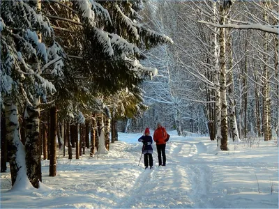 Зимняя прогулка | Снежная свадьба, Свадьба, Зимняя свадьба