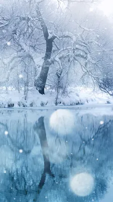 Фото Зимняя сказка природа