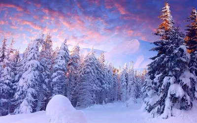 Pictures Winter Nature Snow Seasons 1920x1080