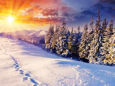 Картинки Пейзажи, деревья, зимние обои, зима, облака, природа, снег,  склоны, фото - обои 2560x1440, картинка №9885