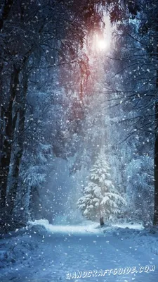 Красивые картинки зимние на телефон (42 фото) | Зимние картинки, Зимние  сцены, Картины с изображением природы