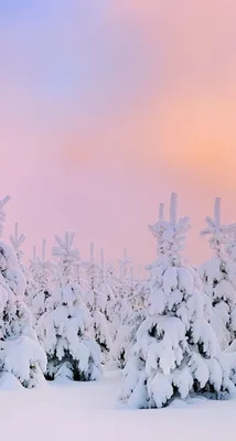 Зима, дорога, снег, деревья. | Пейзажи, Фоновые рисунки, Зимние картинки