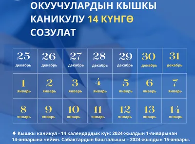 Зимние каникулы в 2023 году: сколько дней будут отдыхать российские  школьники в январе