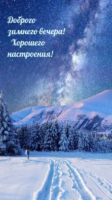 ДОБРОЕ УТРО! 🎄💖⛄🍒❄🎇❄🍒⛄💖🎄 ХОРОШЕГО НАСТРОЕНИЯ В ЛЮБУЮ ПОГОДУ! 🌨☀❄ |  Доброе утро, Счастливые картинки, Зимние цитаты