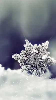 Обои на айфон, зимние обои, winter wallpapers, iPhone wallpapers | Пейзажи,  Живописные пейзажи, Фоновые рисунки